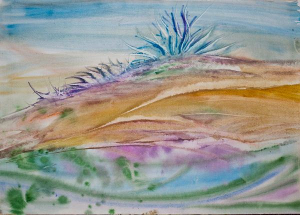 Подводный мир